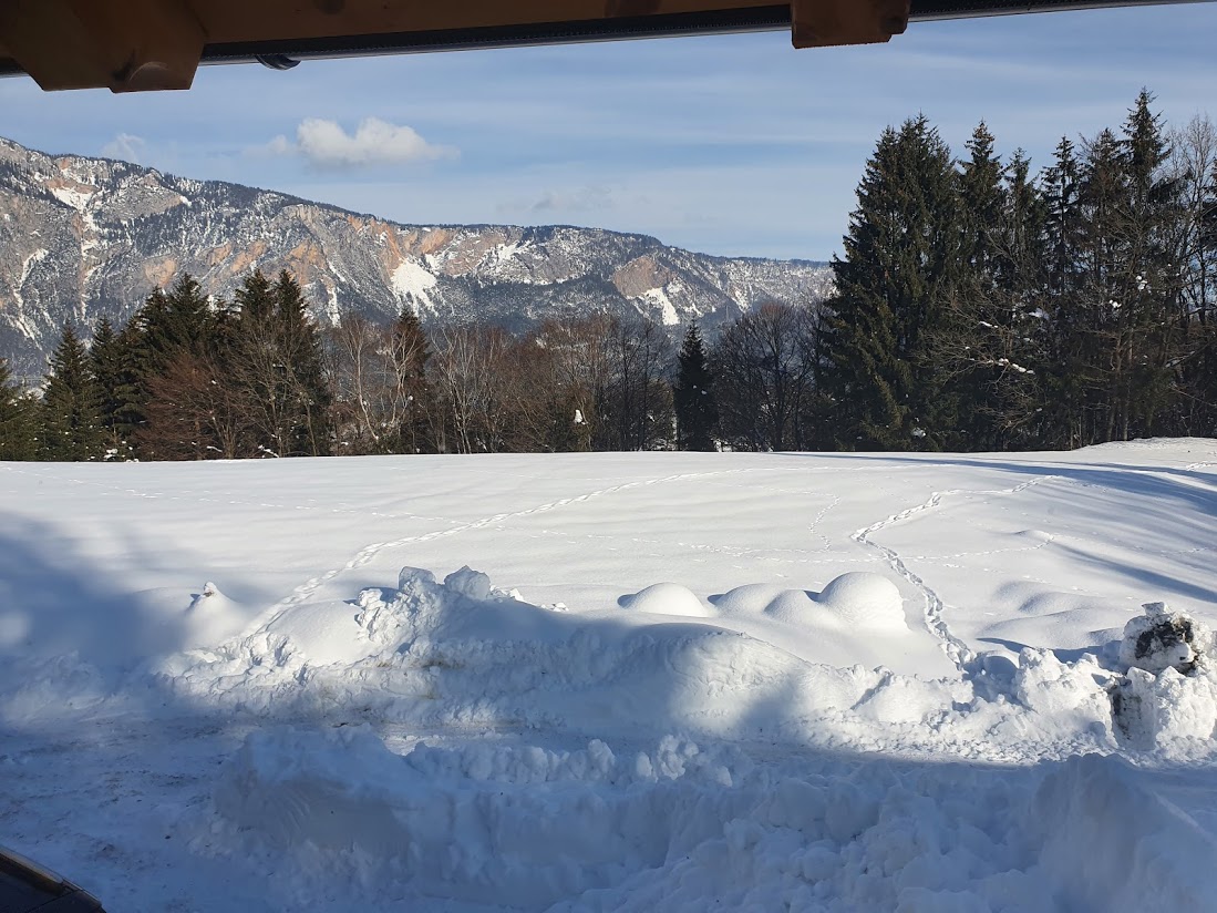 Blick durch die Haustür Winter Berghaus Edelhirsch