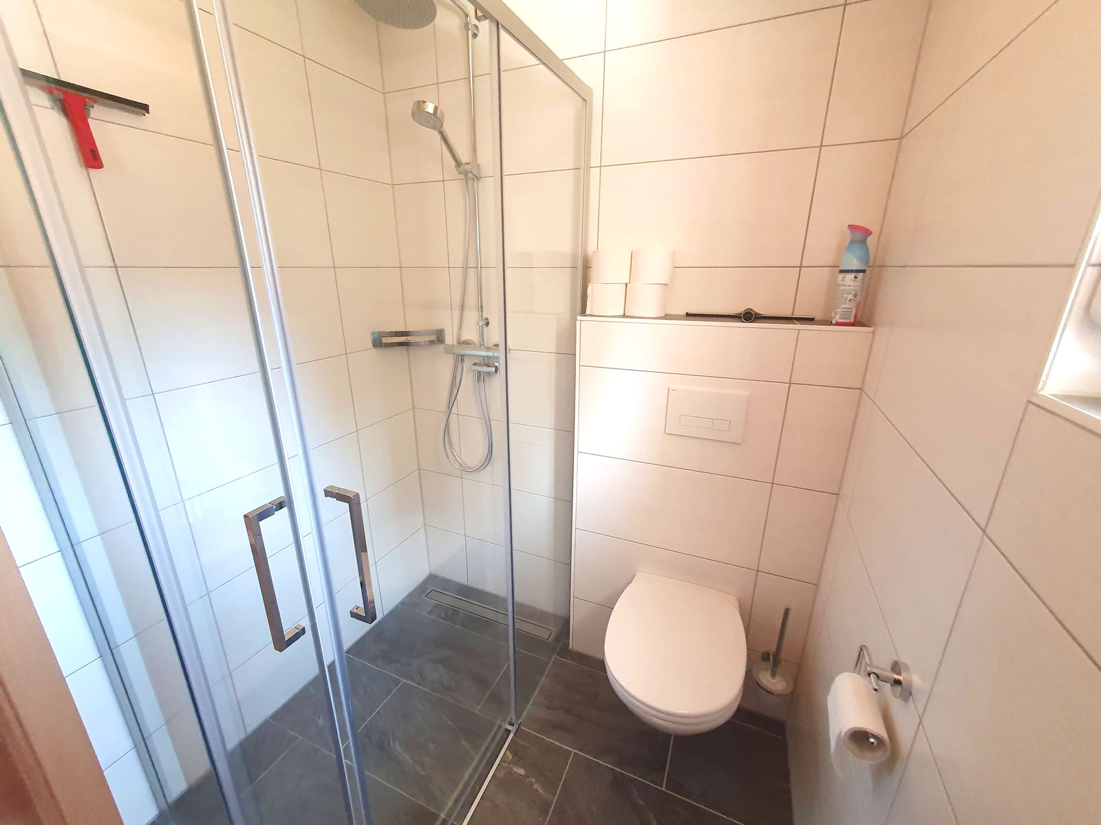 Bathroom 1st floor toilet Berghaus Edelhirsch